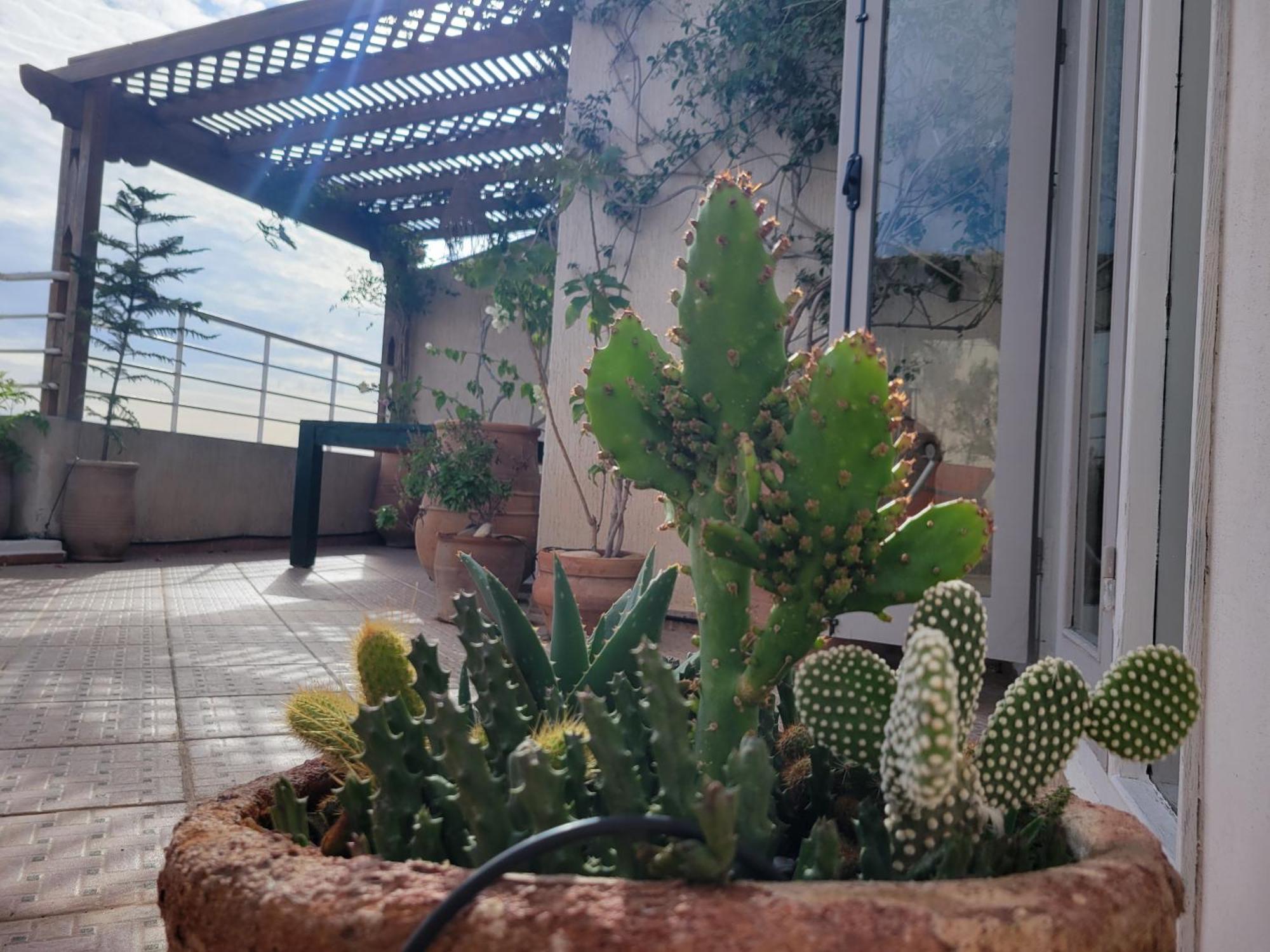 Terrazas Mogador Apartment