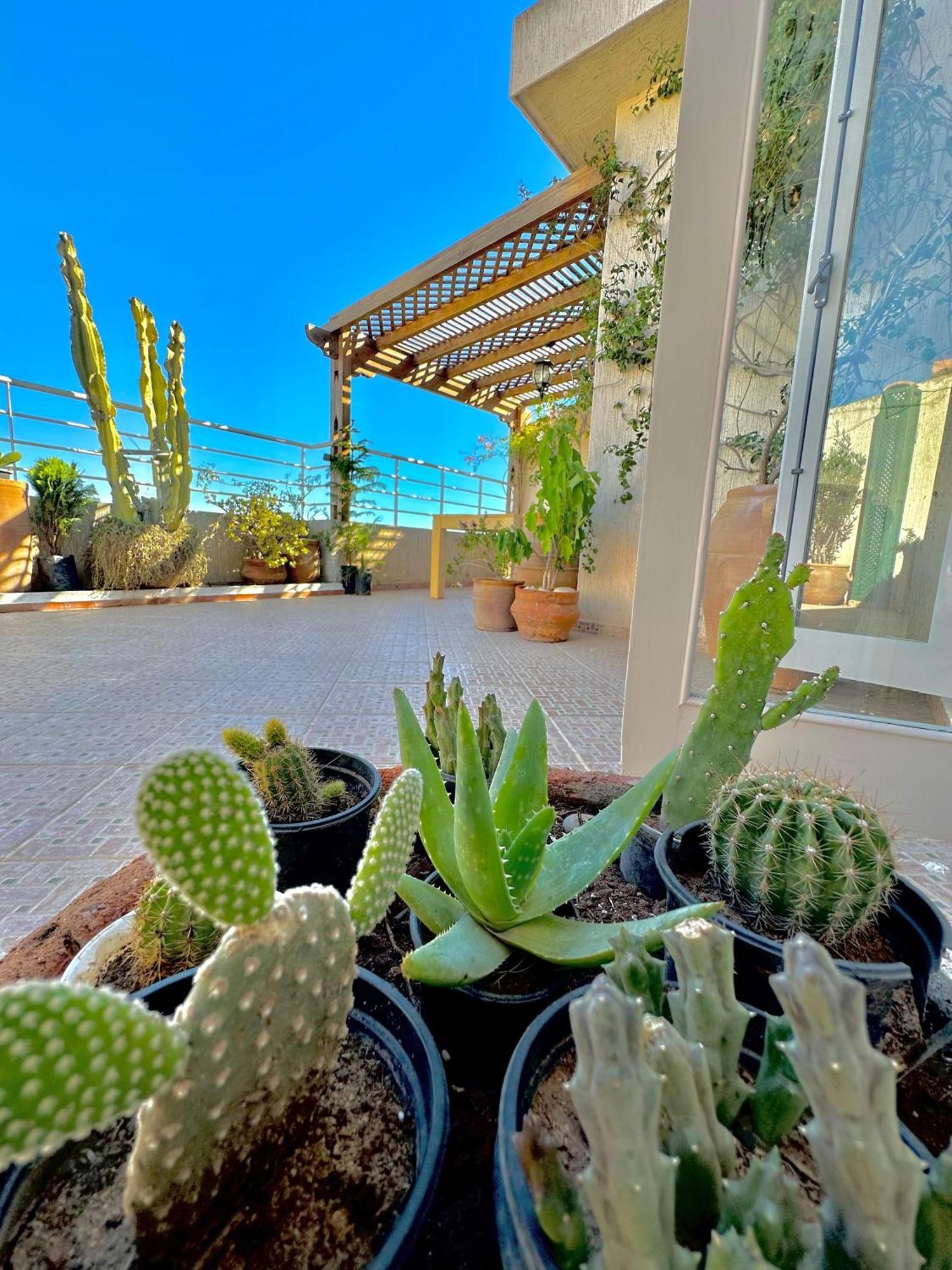 Terrazas Mogador Appartement