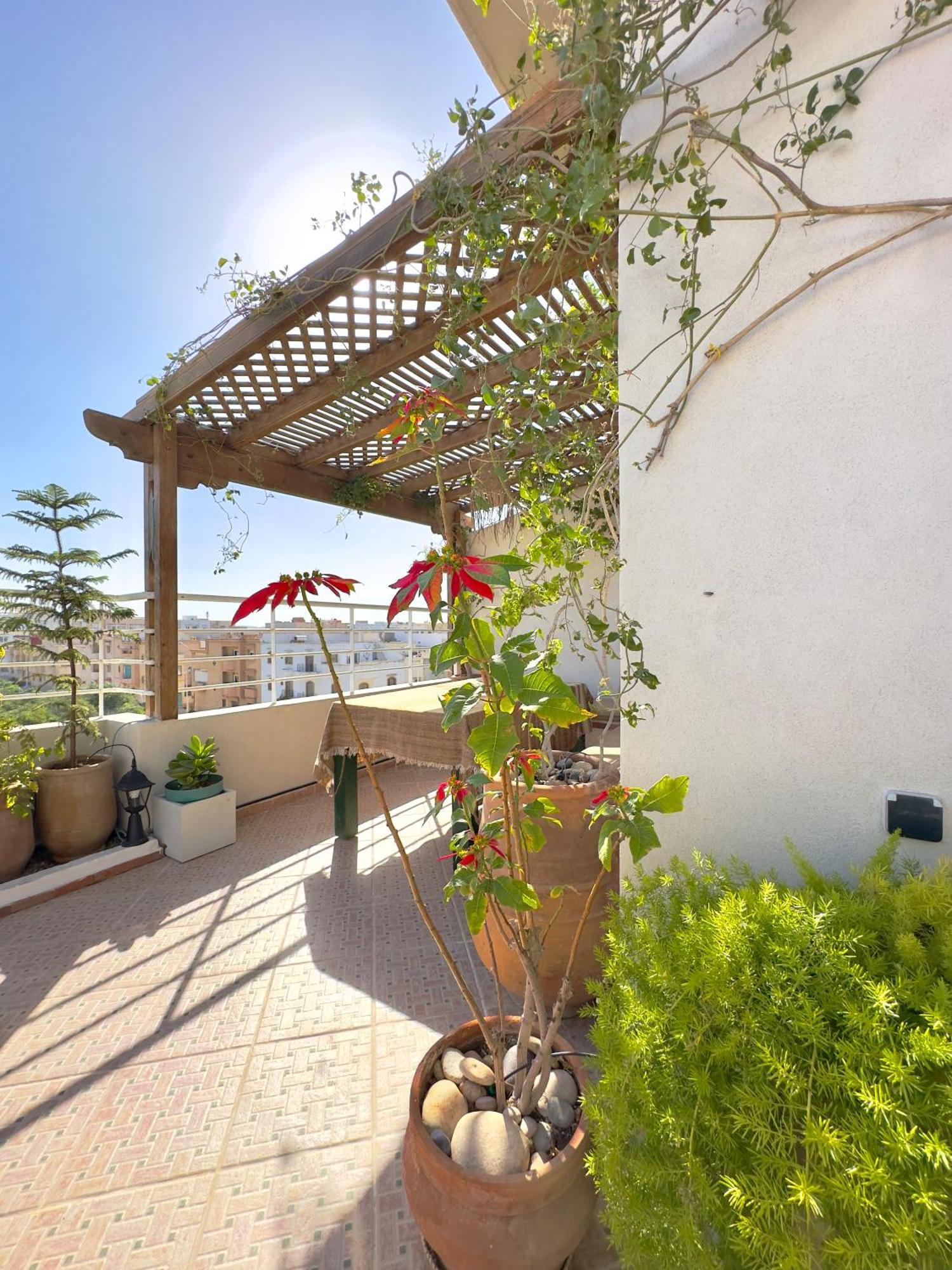 Appartement Terrazas Mogador Essaouira